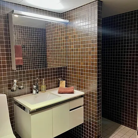 Boho Chic - 2br, 2 Baths & Spacious Living With 23sqm Terrasse Appartement Zürich