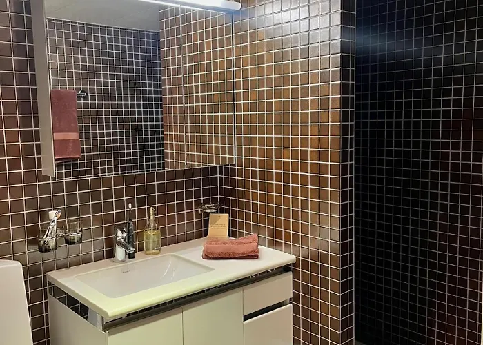 Boho Chic - 2Br, 2Baths Spacious With 23Sqm Terrasse 10 Min From Lake Apartment Zürich