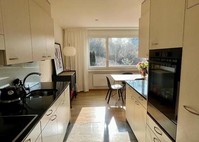 Boho Chic - 2Br, 2Baths Spacious With 23Sqm Terrasse 10 Min From Lake Zürich