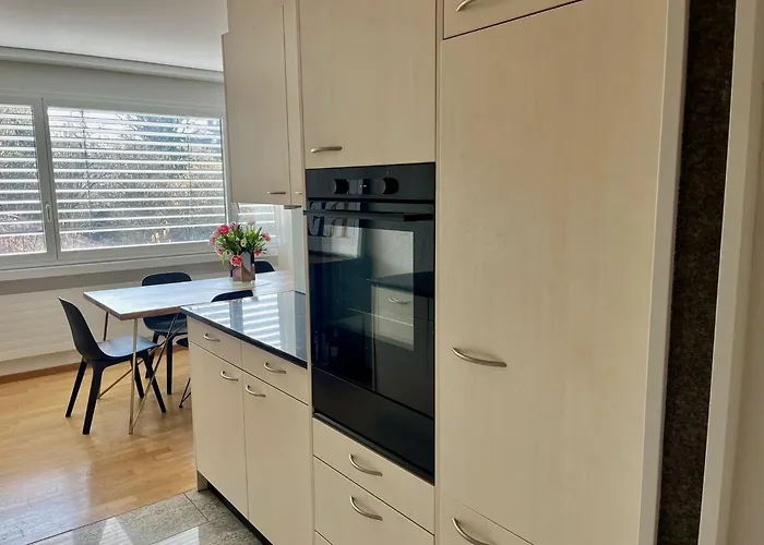 Boho Chic - 2Br, 2Baths Spacious With 23Sqm Terrasse 10 Min From Lake Zürich